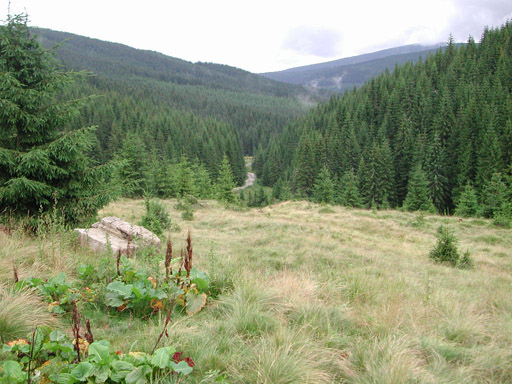 or20020721_6450t