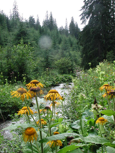 or20020721_6453t