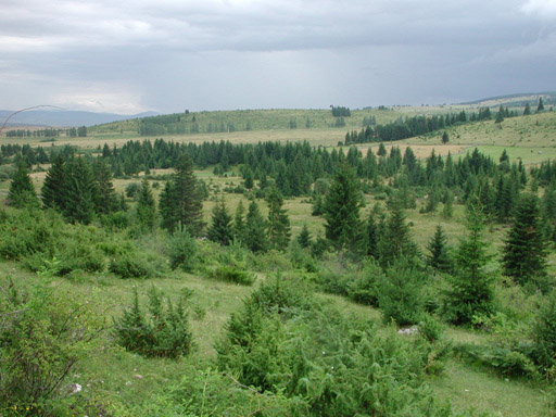 or20020721_6459t