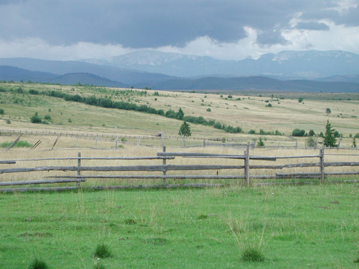 or20020721_6461t