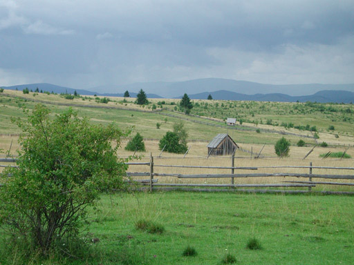 or20020721_6464t
