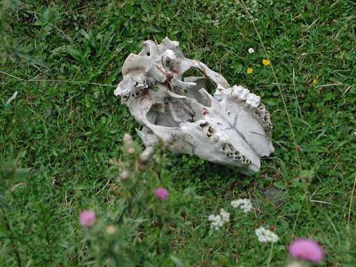 or20020723_6702t