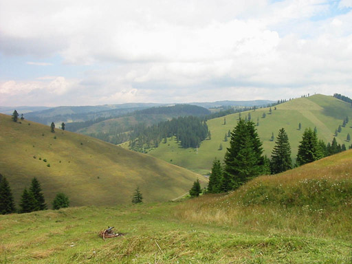 or20020723_6709t