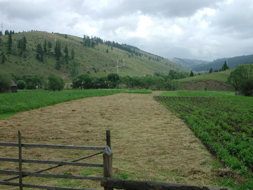 or20020723_6726t