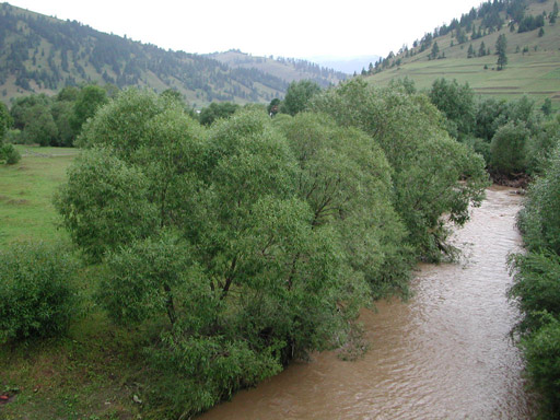 or20020723_6749t