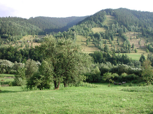 or20020723_6788t