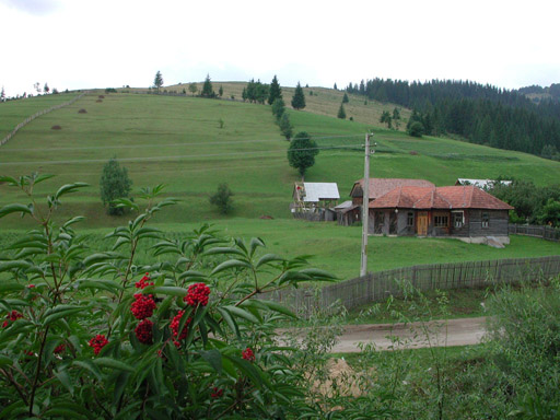 or20020724_6852t