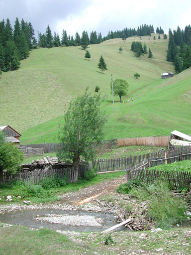 or20020724_6858t