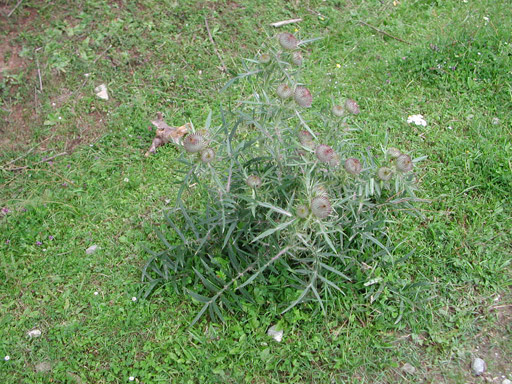 or20020724_6866t