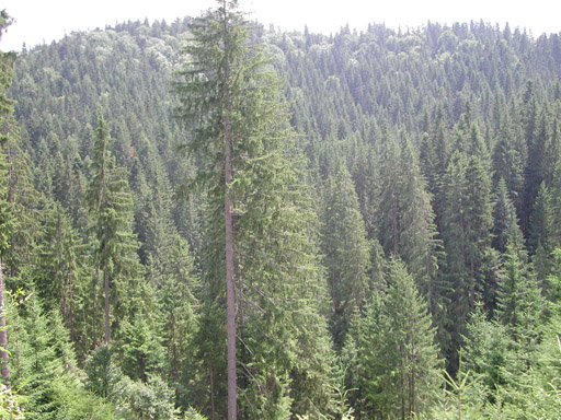 or20020724_6869t
