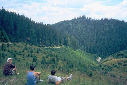 or20020724_6873s