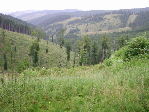 or20020724_6879t