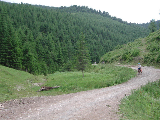 or20020724_6881t