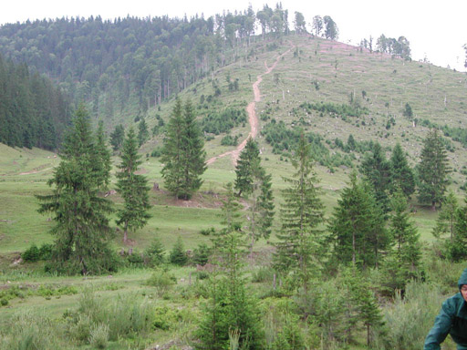 or20020724_6894t