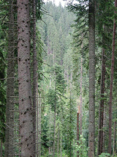 or20020724_6900t