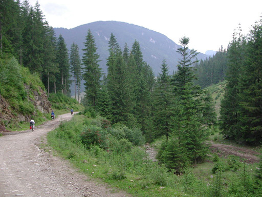 or20020724_6905t