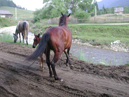 or20020724_6914t