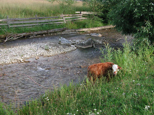 or20020724_6917t