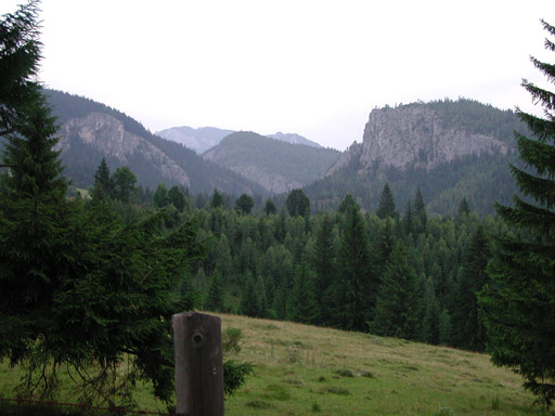 or20020724_6943t