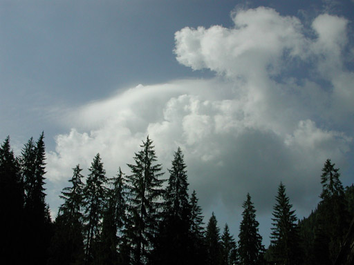 or20020725_6966t
