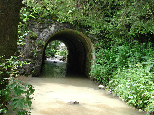 or20020725_6968t