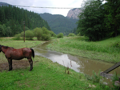 or20020725_6977t