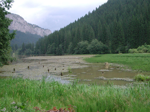 or20020725_6979t