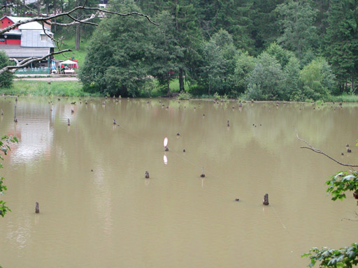 or20020725_6985t
