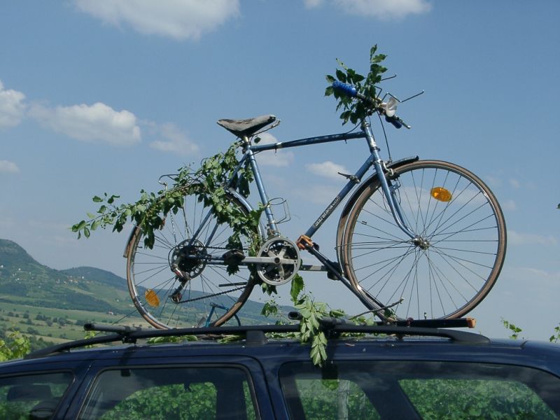foto