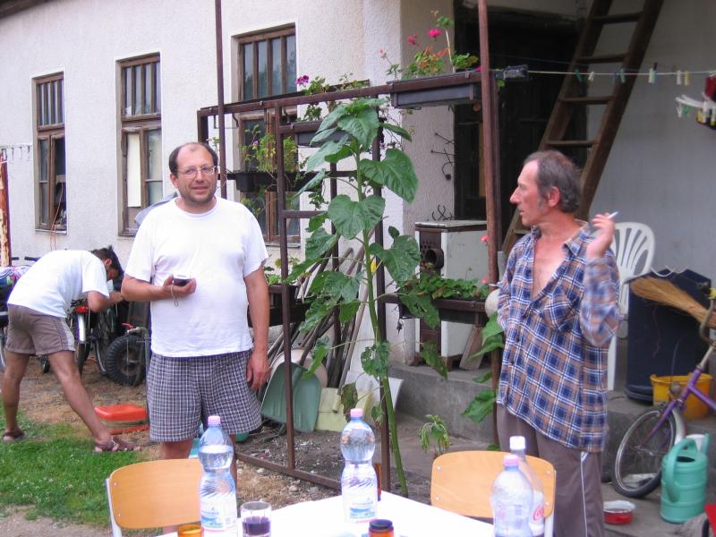 foto