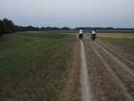 foto"