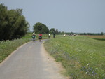 foto"