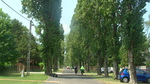 foto"