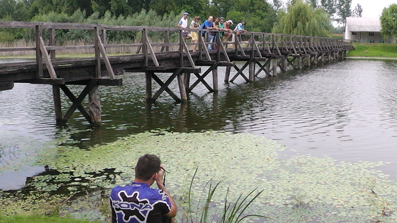foto