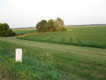 foto"