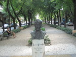 foto"