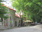 foto"