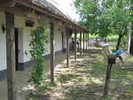 foto"