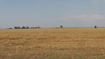 foto"