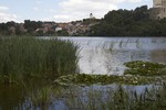 foto"