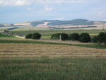 foto"