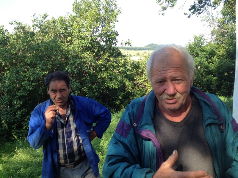 foto