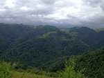 foto"