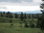 foto"