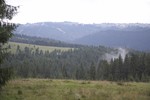 foto"