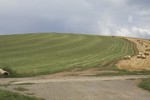 foto"