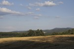 foto"