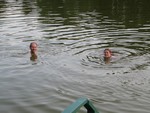 foto"