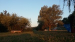 foto"