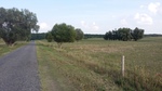 foto"